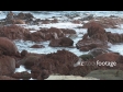 Red Rock Pools 1785